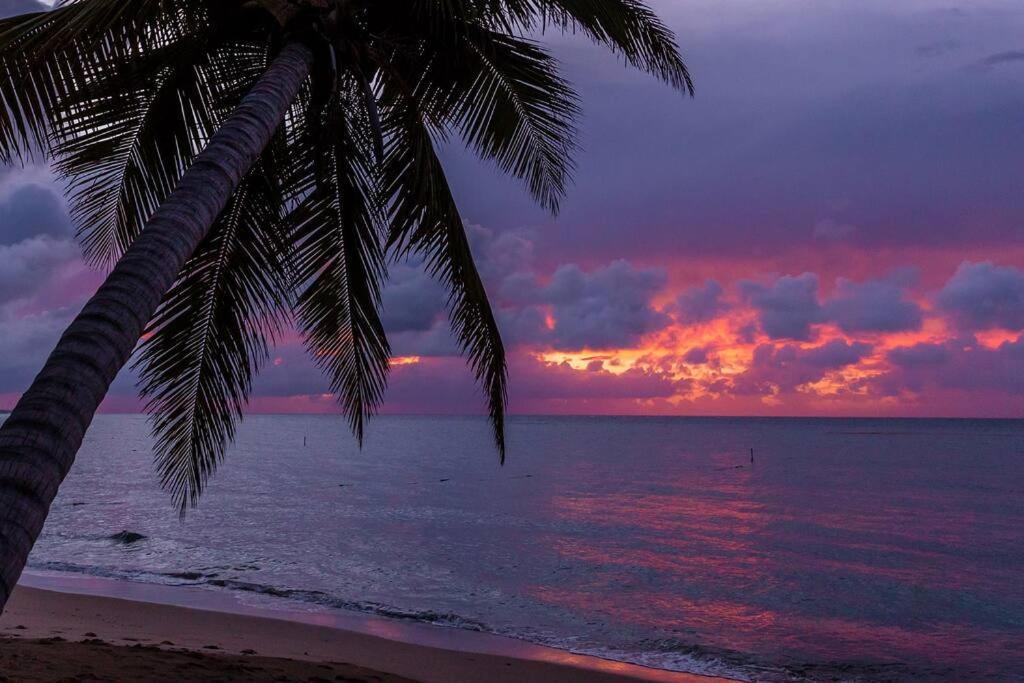 One Bedroom Apt 30 Steps From Prime Beach Generator Parking Included San Juan Exterior foto